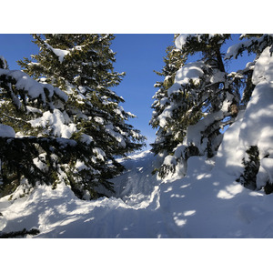 Picture France Praz sur Arly 2019-12 189 - Sight Praz sur Arly