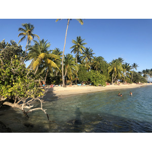 Picture Guadeloupe La Caravelle Beach 2021-02 152 - Trail La Caravelle Beach