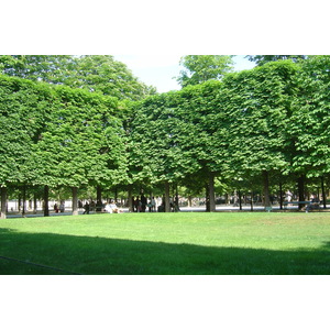 Picture France Paris Garden of Tuileries 2007-05 353 - Road Garden of Tuileries