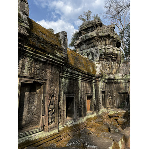 Picture Cambodia Siem Reap Ta Prohm 2023-01 118 - Photographers Ta Prohm