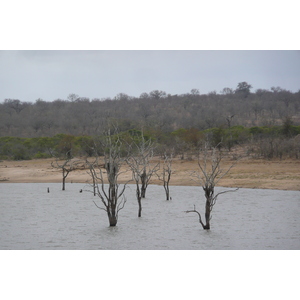 Picture South Africa Kruger National Park Mpondo 2008-09 2 - Road Mpondo