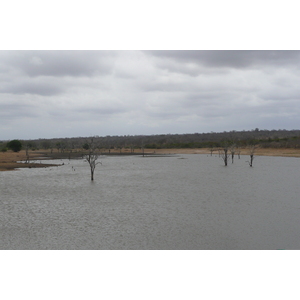 Picture South Africa Kruger National Park Mpondo 2008-09 15 - Flights Mpondo