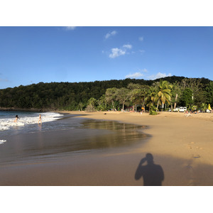 Picture Guadeloupe La Perle Beach 2021-02 35 - Discover La Perle Beach