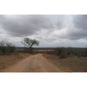 Picture South Africa Kruger National Park Mpondo 2008-09 25 - Car Mpondo