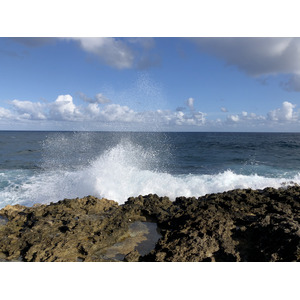 Picture Guadeloupe Castle Point 2021-02 117 - Photographers Castle Point