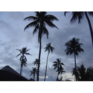 Picture Polynesia Moorea Pearl Resort Hotel 2006-04 0 - Photographers Pearl Resort Hotel