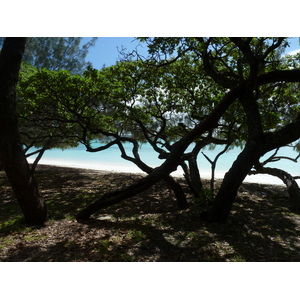 Picture New Caledonia Lifou Luengoni Beach 2010-05 33 - Store Luengoni Beach