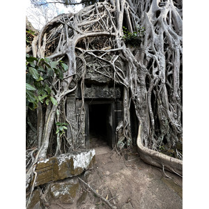 Picture Cambodia Siem Reap Ta Prohm 2023-01 29 - View Ta Prohm