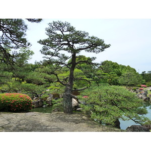 Picture Japan Kyoto Nijo Castle Ninomaru Garden 2010-06 8 - Tourist Ninomaru Garden