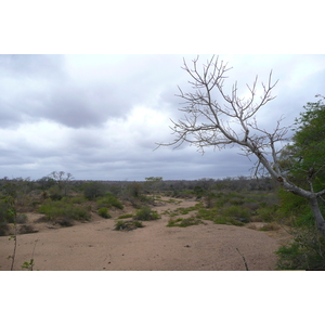 Picture South Africa Kruger National Park 2008-09 104 - View Kruger National Park