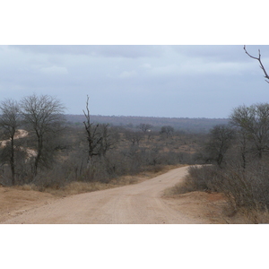 Picture South Africa Kruger National Park 2008-09 122 - Photo Kruger National Park