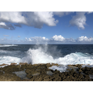 Picture Guadeloupe Castle Point 2021-02 166 - Trail Castle Point