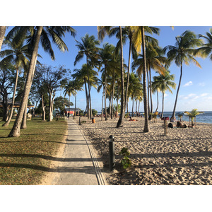 Picture Guadeloupe La Caravelle Beach 2021-02 129 - Pictures La Caravelle Beach