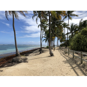 Picture Guadeloupe La Caravelle Beach 2021-02 6 - Photographers La Caravelle Beach