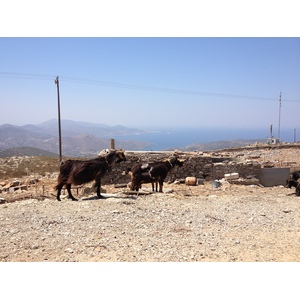 Picture Greece Amorgos 2014-07 309 - View Amorgos