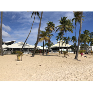 Picture Guadeloupe La Caravelle Beach 2021-02 39 - Sightseeing La Caravelle Beach