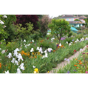 Picture France Giverny 2013-06 87 - Photographer Giverny