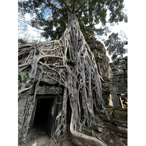 Picture Cambodia Siem Reap Ta Prohm 2023-01 61 - Views Ta Prohm