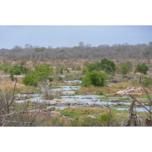 Picture South Africa Kruger National Park Crocodile River 2008-09 43 - Perspective Crocodile River