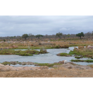 Picture South Africa Kruger National Park Crocodile River 2008-09 30 - Visit Crocodile River