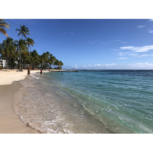 Picture Guadeloupe La Caravelle Beach 2021-02 74 - Photos La Caravelle Beach