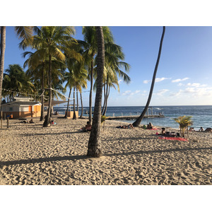 Picture Guadeloupe La Caravelle Beach 2021-02 76 - Views La Caravelle Beach