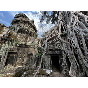 Picture Cambodia Siem Reap Ta Prohm 2023-01 57 - Photos Ta Prohm