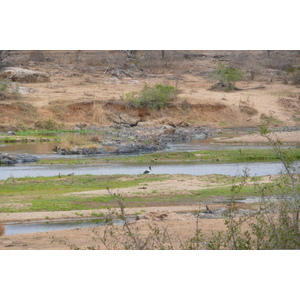 Picture South Africa Kruger National Park Crocodile River 2008-09 28 - View Crocodile River