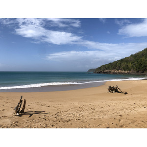 Picture Guadeloupe La Perle Beach 2021-02 15 - Store La Perle Beach