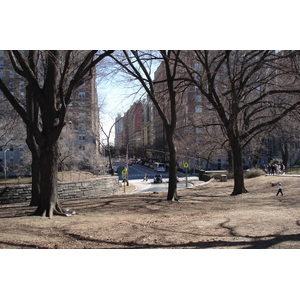 Picture United States New York Central Park 2006-03 3 - Photos Central Park