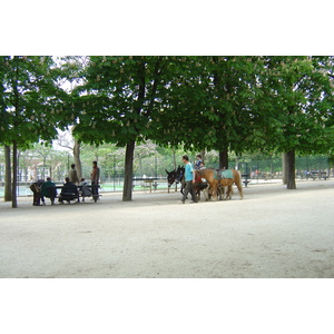 Picture France Paris Luxembourg Garden 2007-04 33 - Road Luxembourg Garden