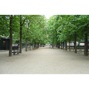 Picture France Paris Luxembourg Garden 2007-04 5 - Tourist Places Luxembourg Garden