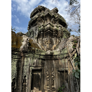 Picture Cambodia Siem Reap Ta Prohm 2023-01 103 - Photos Ta Prohm