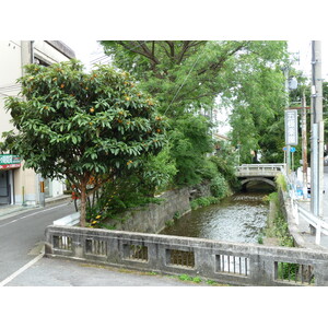 Picture Japan Kyoto 2010-06 82 - Tourist Kyoto