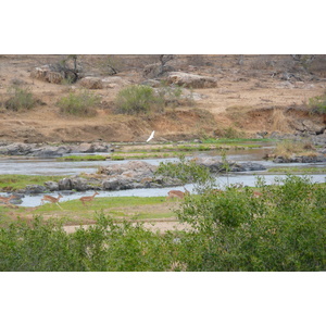 Picture South Africa Kruger National Park Crocodile River 2008-09 12 - Photos Crocodile River