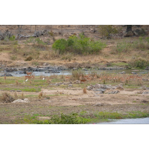 Picture South Africa Kruger National Park Crocodile River 2008-09 7 - View Crocodile River