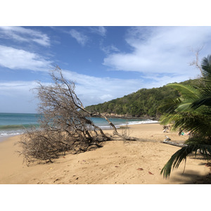 Picture Guadeloupe La Perle Beach 2021-02 43 - Randonee La Perle Beach