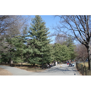 Picture United States New York Central Park 2006-03 36 - Sightseeing Central Park