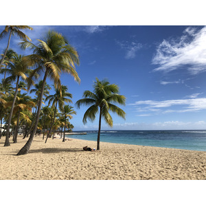 Picture Guadeloupe La Caravelle Beach 2021-02 139 - Picture La Caravelle Beach