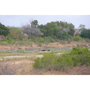 Picture South Africa Kruger National Park Crocodile River 2008-09 2 - Discover Crocodile River