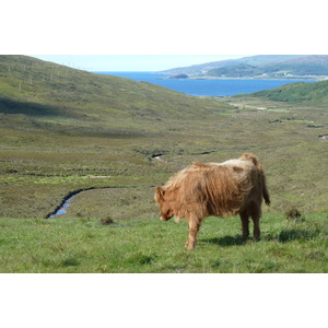 Picture United Kingdom Skye The Cullins 2011-07 79 - Photographers The Cullins