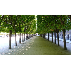 Picture France Paris Palais Royal 2007-08 48 - Tourist Palais Royal