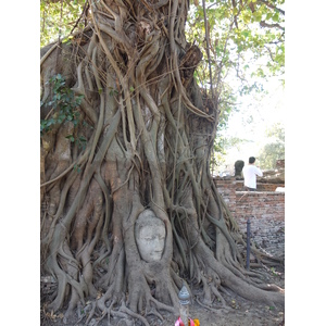 Picture Thailand Ayutthaya 2011-12 29 - Trips Ayutthaya