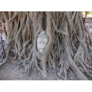 Picture Thailand Ayutthaya 2011-12 11 - Trips Ayutthaya