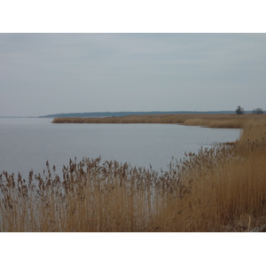 Picture Estonia Haapsalu 2009-04 13 - Flights Haapsalu