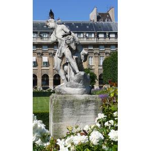 Picture France Paris Palais Royal 2007-08 49 - Visit Palais Royal