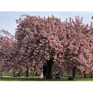 Picture France Parc de Sceaux 2019-04 31 - Journey Parc de Sceaux