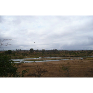 Picture South Africa Kruger National Park Crocodile River 2008-09 72 - Pictures Crocodile River