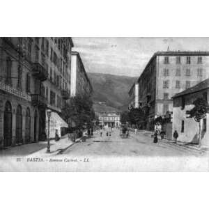 Picture France Corsica Old Postcards bastia 1900-01 104 - Flight bastia