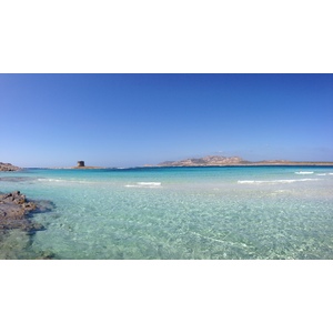 Picture Italy Sardinia Capo del Falcone 2015-06 69 - Sight Capo del Falcone